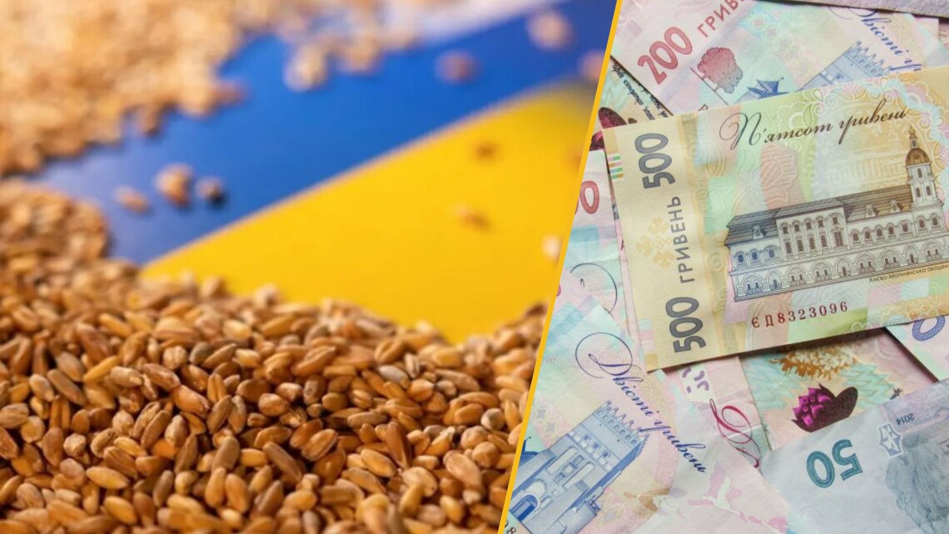 Український ринок ячменю перегрітий: ціни можуть просісти